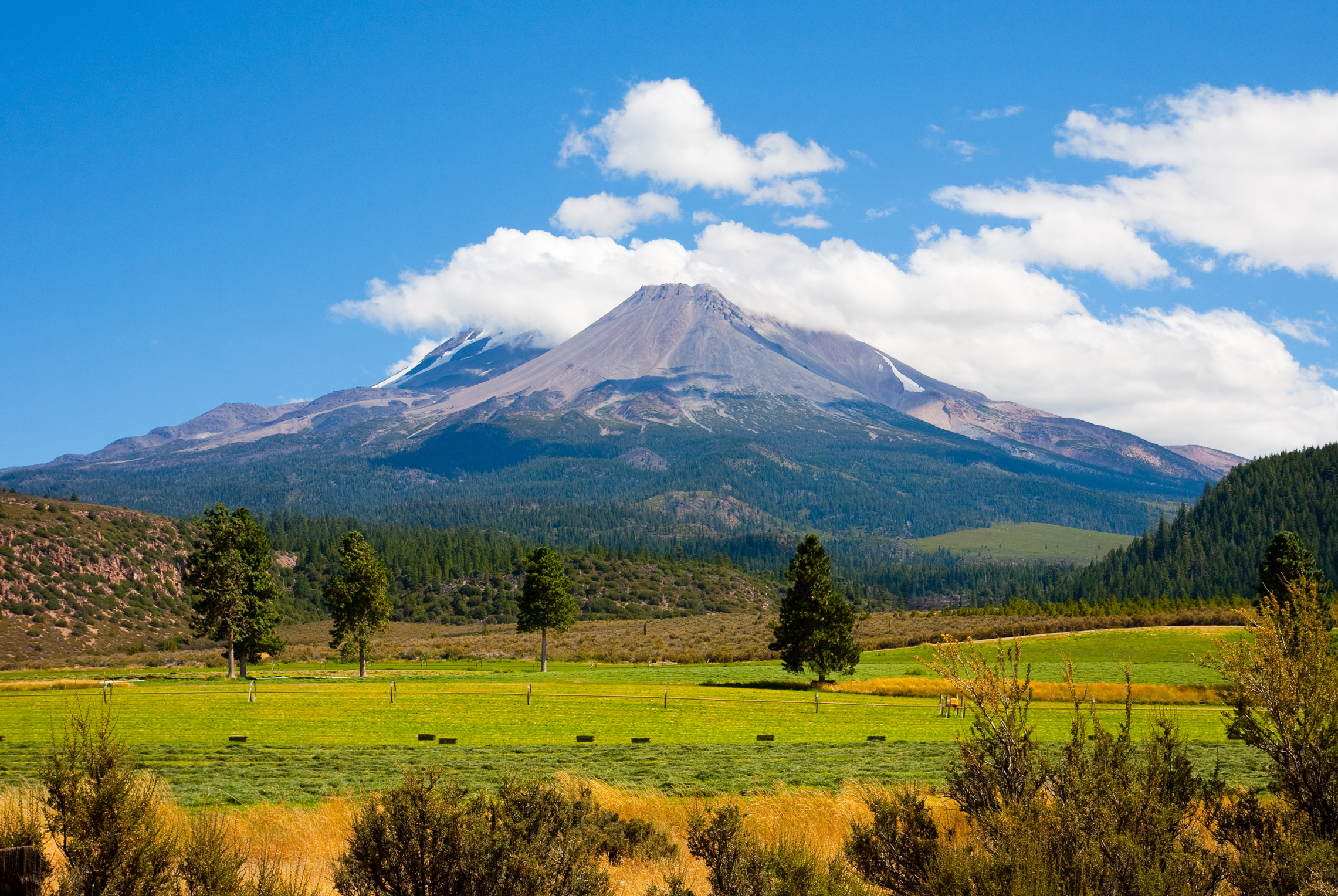 Mount Shasta